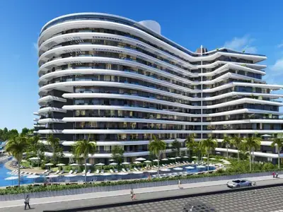 THE AMOUR COLLECTION 1+1